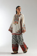 Kajal-2pc printed dress